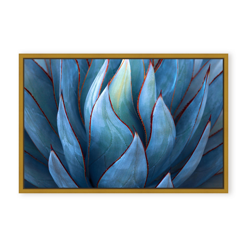 Nature Inspired Blue Agave Abstract by  - Picture Frame Graphic Art on Paper, 16" H x 24" W x 1.125" D, Black