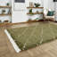 Pechler area rug Machine Woven Green-1409279432