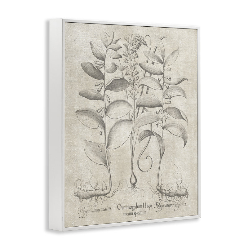 Giclée sur toile grise rétro vintage, Giclée encadrée blanc bord de mer, H 20 po x l 16 po