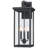 Delancy 22.5in Large Black Outdoor Wall Lantern Sconce Light