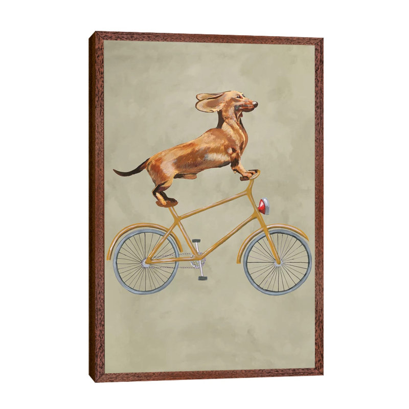 Dachshund On Bicycle I by Coco De Paris - Print on Canvas, 66.04 cm H x 45.72 cm W, Brown Framed