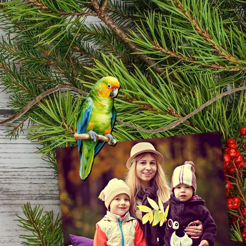 Colorful Parrots Wooden Clip-On Ornaments Set of 6