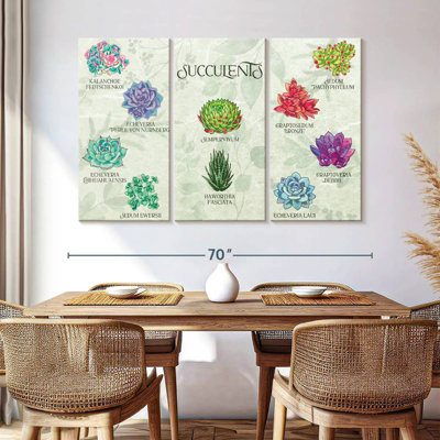Harnek Succulents Chart