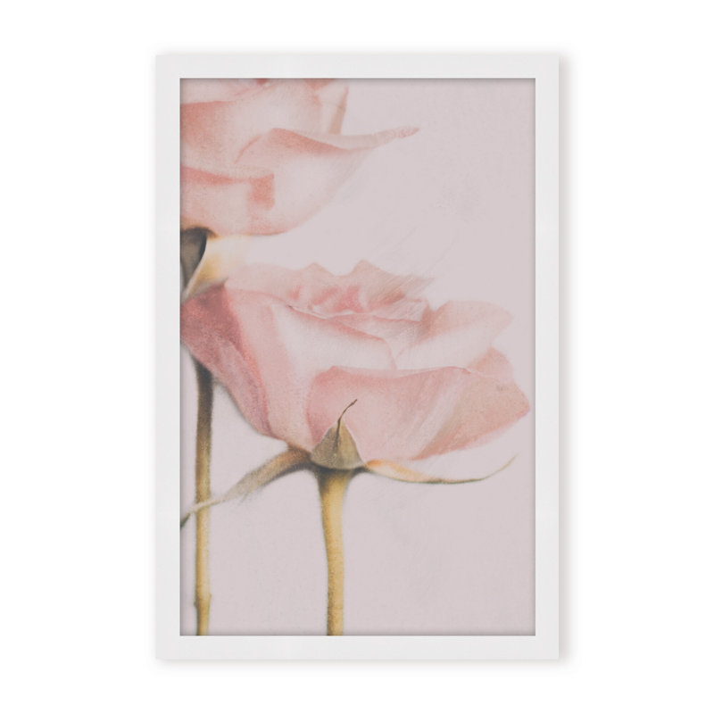 Nature Inspired Two Roses by  - Picture Frame Photograph on Paper, 36" H x 24" W x 1.125" D, Framed Print, White