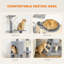 134cm H Cat Tree