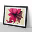 Blooming Flower - Single Picture Frame Print-1617642418-1617642421