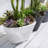 Calliope Pot Planter-69602763-69602764