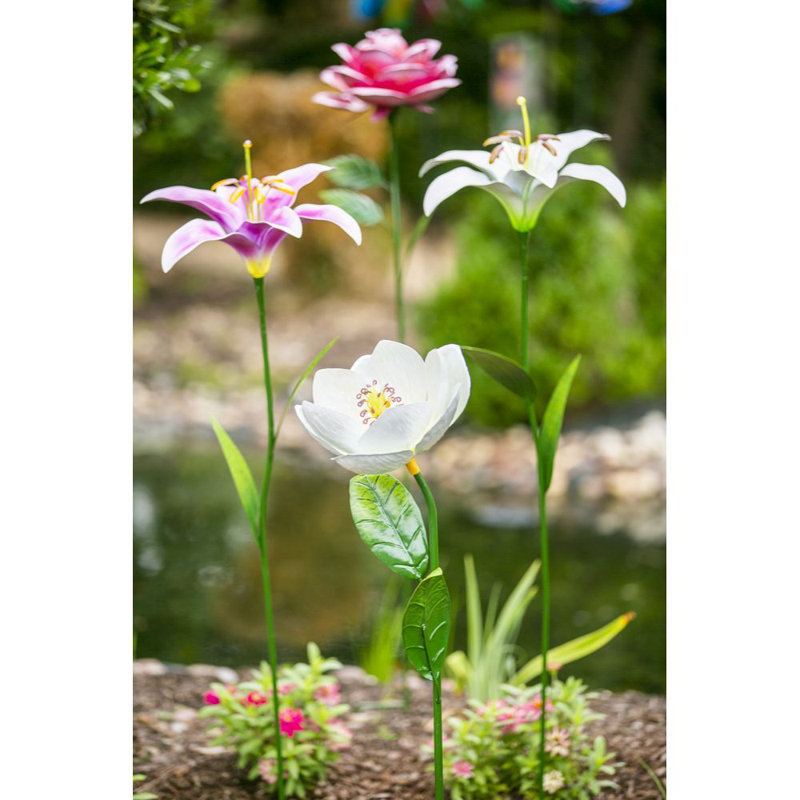Grand magnolia de jardin