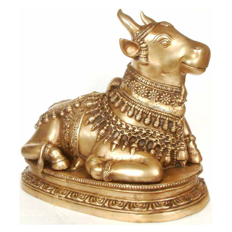 Nandi