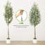 59.06cm Plant-527638739