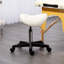 Chasie Adjustable Height Lab Stool Wheels-501474634