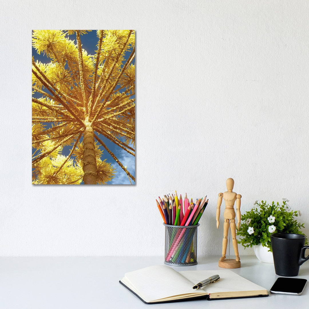 Up by Glauco Meneghelli - Wrapped Canvas Print