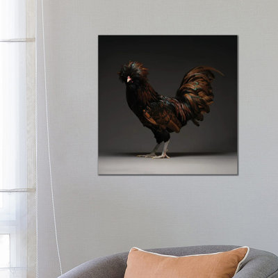 Gold Laced Polish by CHICken - Wrapped Canvas Print