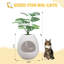 ABS Litter Box