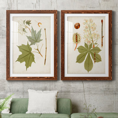 Antique Leaves VII - ensemble de 2 reproductions d'art sur papier encadré