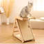 Arbre à chat multifonctionnel en bois pour chat