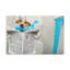 Jack Russell Terrier-1957038398