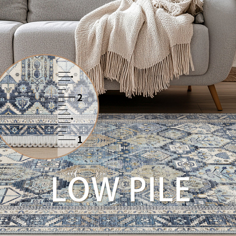  Fayanna Oriental Machine Washable Area Rugs with Non-Slip Backing, Runner 2' x 5'