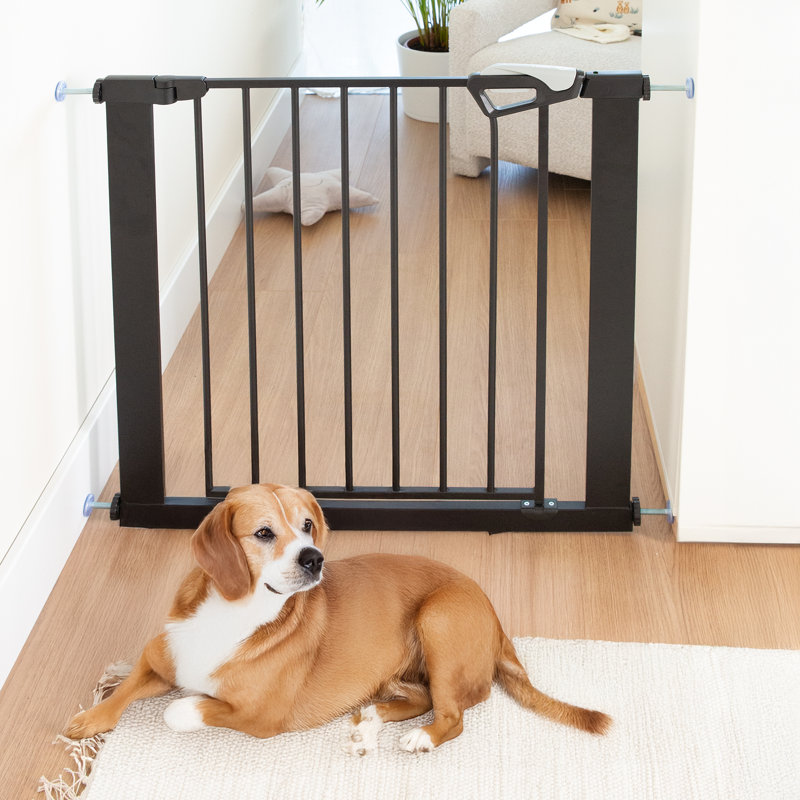 EasySafe+ Safety Gate, Black