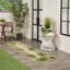 Tapis intérieur / extérieur floral Alvarie-1769207957