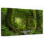 Alvord, jungle du Népal-107685447