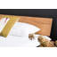 Apollonia Solid Wood Sleigh Bed-441290094