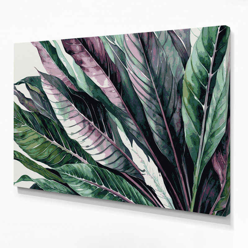 Art mural sur toile Botanical Calathea, H 24 po x l 36 po