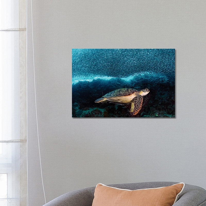 Tortue et sardines par Henry Jager, reproduction d'art sur toile tendue, H 18 po x l 26 po x P 1,5 po