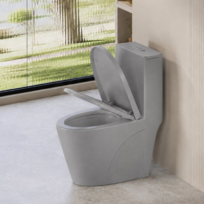 Toilette allongée une pièce à double chasse 1,1 / 1,6 GPF avec siège confortable de 17,13 po de hauteur, surface vitrée en céramique (siège à fermeture en douceur incluse), gris clair