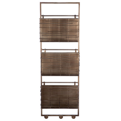 Aakash 3 Piece Metal Tiered Shelf with Hooks