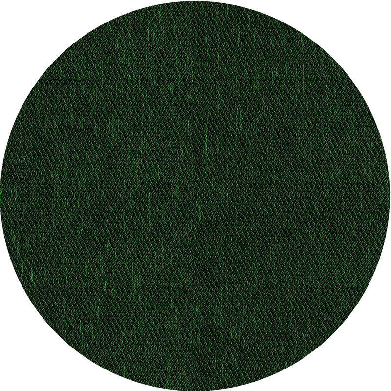 Tapis 100% à motifs lavables à la machine 2989 Pat2786 GRN, Rond 4 pi