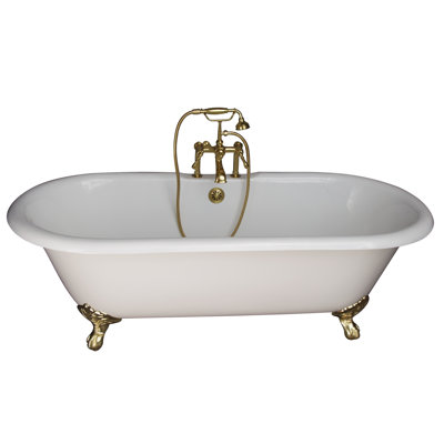 68'' x 30'' Freestanding Soaking Cast Iron Bathtub with Faucet