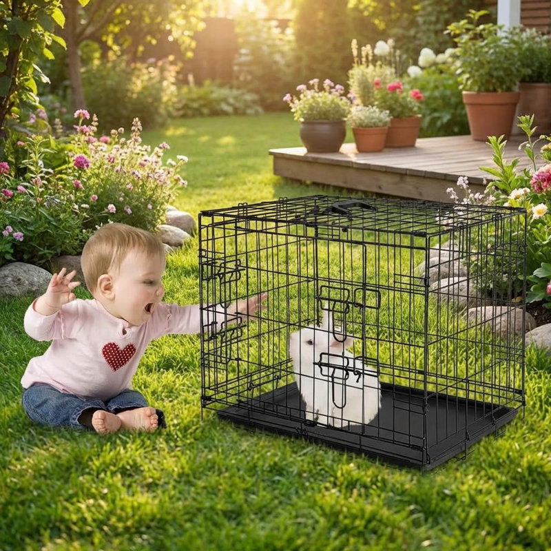 Rabbit Cage