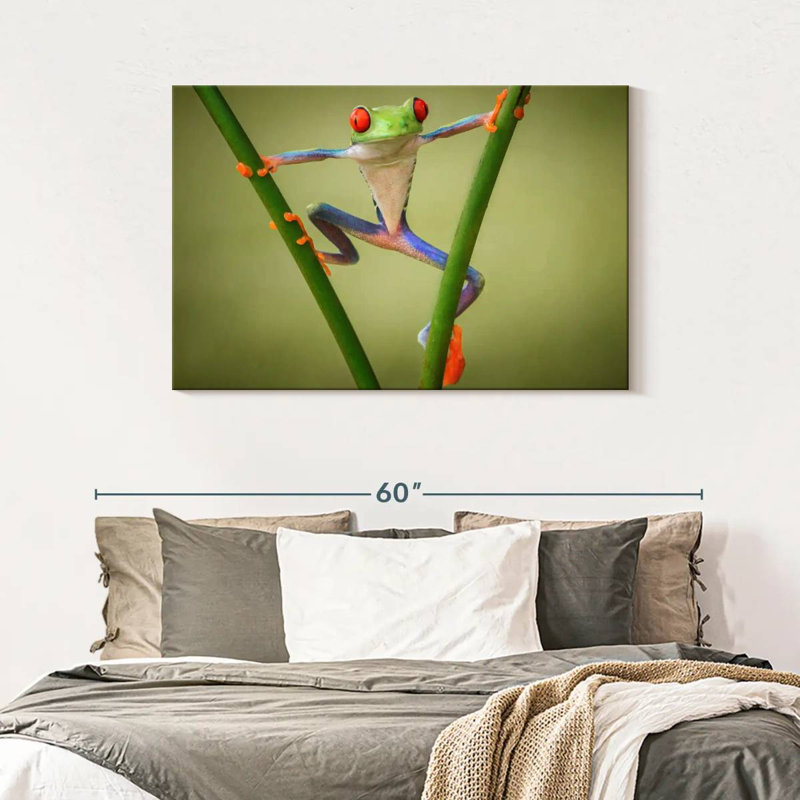 Frog Show Off, 30" H x 45" W