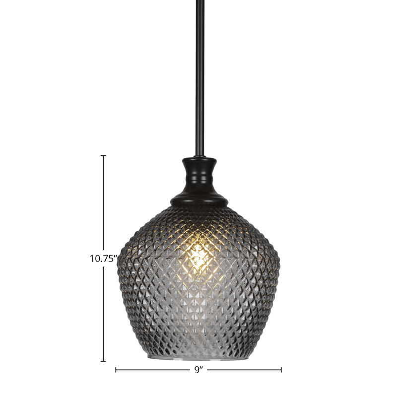 Luminaire suspendu à chaîne Zola, H 10,75 po x l 9 po x P 9 po, Noir mat
