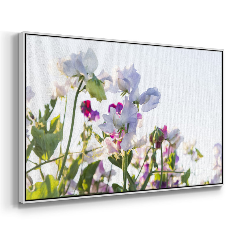 Spring Blooms, reproduction d'art sur toile, Blanc, H 25 po x l 37 po x P 2 po