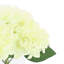 Hydrangea Arranged In A Clear Glass Vase