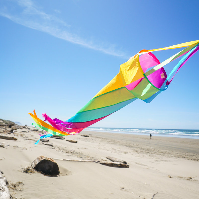 Fiesta Spinsock Windsock Spinner