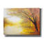 «Trees In A Golden Glow» par Marc Todd, Lark Manor, art mural sur toile-1214509525