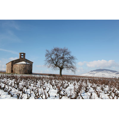 Winter Landscape In Beaujolais by Ricochet64 - Wrapped Canvas Print