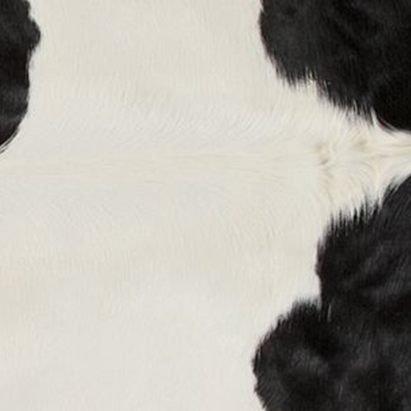 Tapis vache area black Shorehamby