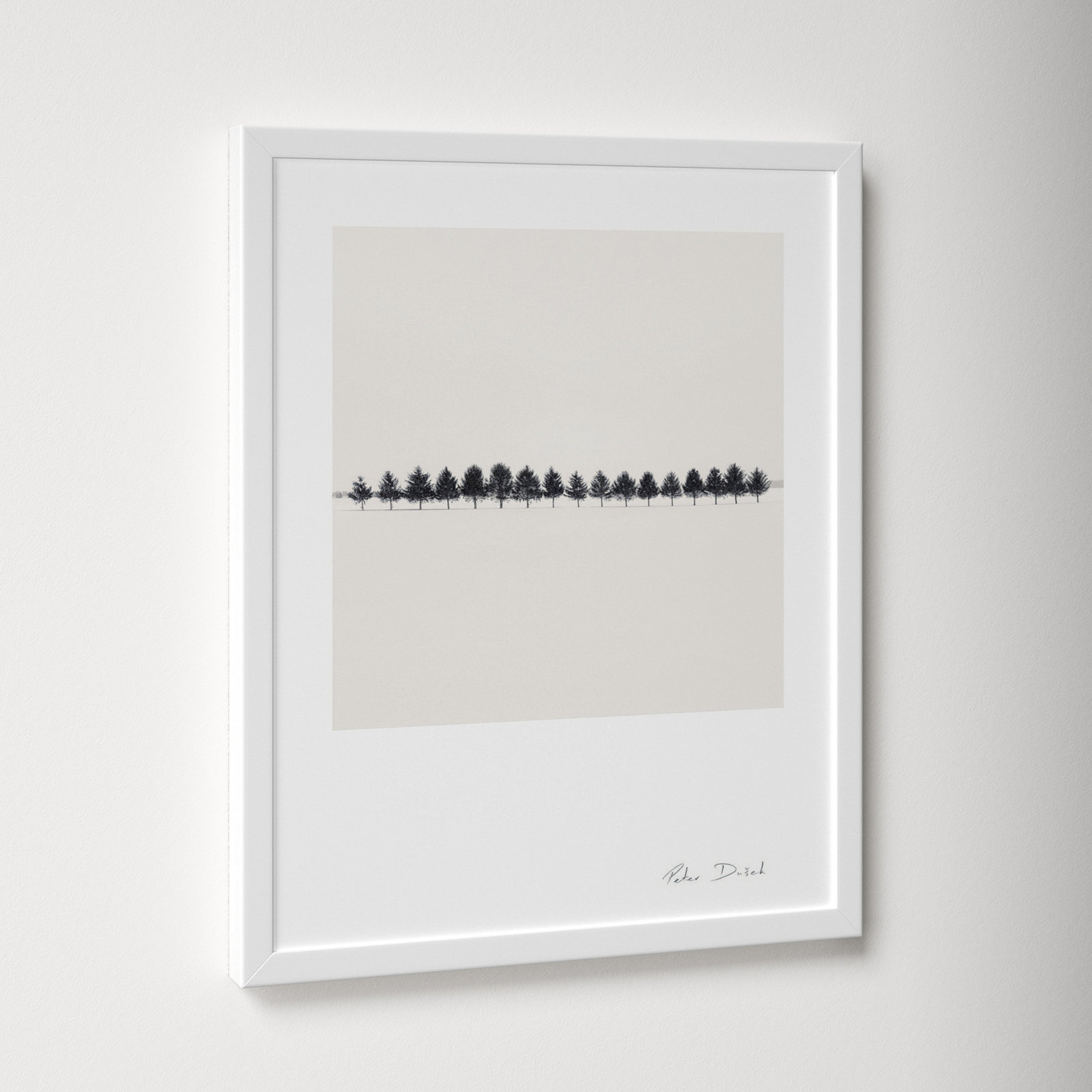 Seventeen Trees by Peter Dušek, 20" H x 16" W x 1.25" D, White