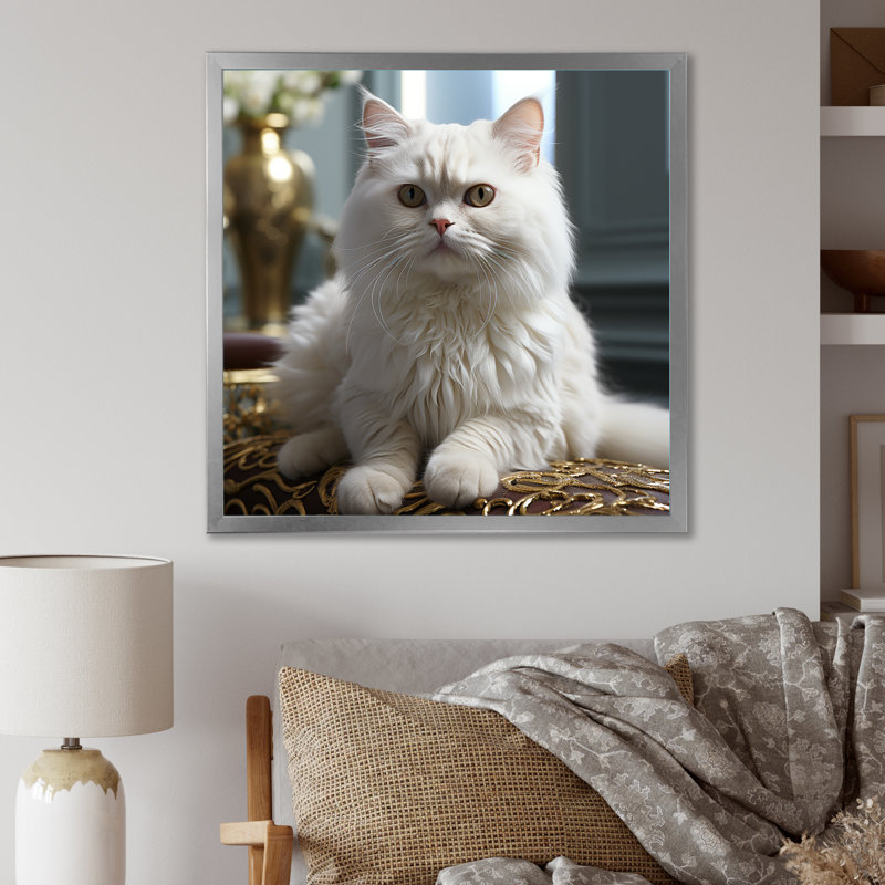 Exotic Shorthair Elegance Cat - impressions sur toile de chat, Cadre photo argenté, H 30 po x l 30 po x P 1 po