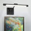 1-Light Dimmable LED Picture Light 3000K/4000K/5000K Adjustable-552299476-552299467-552299465