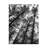 Landscape Dark Tree Forest 2 Pieces-486553835
