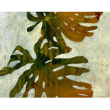 Monstera Deliciousa Painting by Kari Taylor