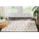 Petrina Geometric Indoor Rug