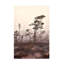 Christina Sillen Sculpturel Trees Canvas Art-103104309
