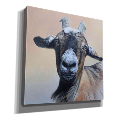 'Rosie' by Sam Dolman, Canvas Wall Art