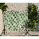 Hissom Flatweave Indoor / Outdoor Area Rug